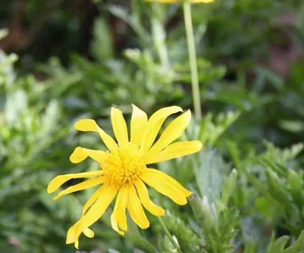 Apartman With A Parking Space - 6087 *