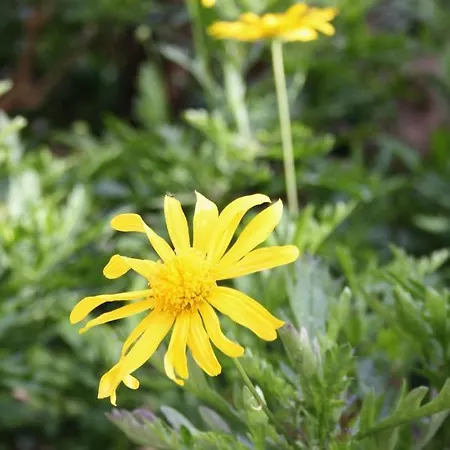 Apartment With A Parking Space - 6087 *
