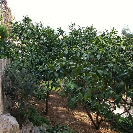 With A Parking Space - 6087 Makarska